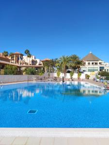 美洲海滩Torres Del Sol Luxury Las Americas的度假村内的大型蓝色游泳池