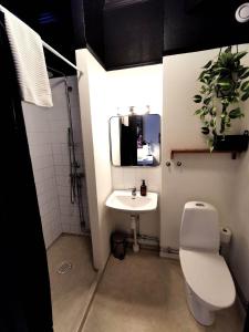 胡迪克斯瓦尔Hotell Temperance的一间带卫生间和水槽的浴室