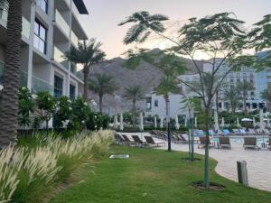 SharmOcean View Address Beach Resort Fujairah فندق و منتجع شاطئ العنوان الفجيره的一座带椅子和棕榈树的度假庭院,位于一座建筑前