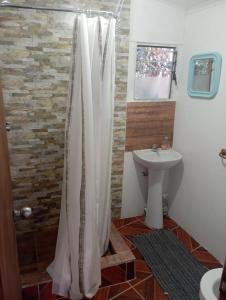 派瓦诺Hermoso Domo privado para 2 personas Cochiguaz Valle De Elqui的浴室配有淋浴帘和盥洗盆。