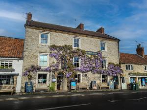 赫尔姆斯利The Feathers Hotel, Helmsley, North Yorkshire的街上一座砖砌的花房