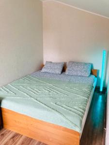 利耶帕亚Nākotnes street apartaments的一张床上有两个枕头的房间