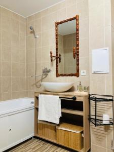 利耶帕亚Nākotnes street apartaments的一间带水槽和镜子的浴室