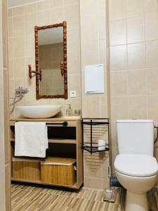 利耶帕亚Nākotnes street apartaments的一间带卫生间、水槽和镜子的浴室
