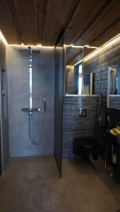于韦斯屈莱Luxury guesthouse, beachfront sauna的带淋浴的浴室和玻璃门