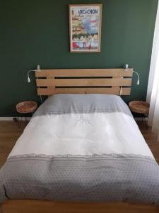 阿卡雄3 pièces avec terrasse arborée的卧室内的一张床位,卧室设有绿色的墙壁