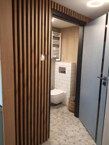 弗罗茨瓦夫Wroclove Airport Loft的一间位于客房内的白色卫生间的浴室