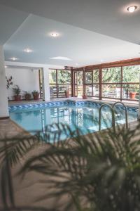 圣马丁德洛斯巴塔哥尼亚广场酒店的棕榈树房子中的游泳池