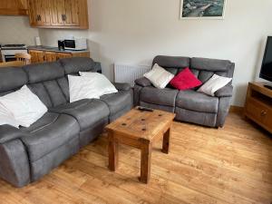 BallinamuckHillside House - Ringfort的客厅配有两张沙发和一张咖啡桌