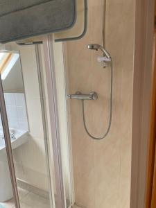 BallinamuckHillside House - Ringfort的浴室内配有淋浴和头顶淋浴