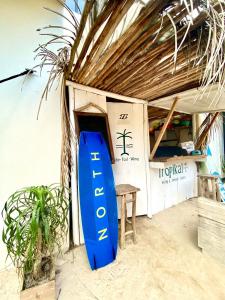 埃尔库约LunArena Boutique Beach Hotel Yucatan Mexico的坐在房间外的蓝色冲浪板