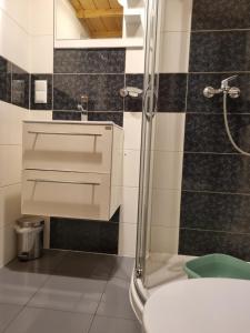 里沃Domki Gościniak的带淋浴和盥洗盆的浴室