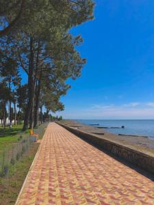 奥恰姆奇拉Чёрное Море的海滩旁的红砖路