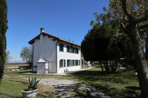 卡奥莱Casa di campagna Cà Teresa的前面有一棵树的白色房子