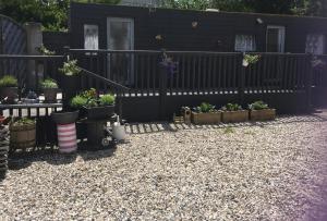 海尔The Caravan at Loggans Lodge的种有盆栽植物和黑色围栏的花园