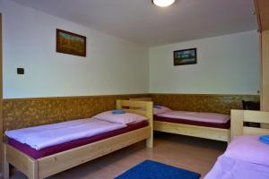 Podkopná LhotaPrázdninový dům-Pension ROLIMPEX的一间设有两张双层床的客房