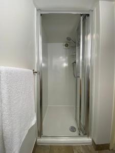 布里斯托Clifton garden flat with parking的浴室里设有玻璃门淋浴