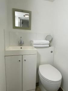 布里斯托Clifton garden flat with parking的白色的浴室设有卫生间和水槽。