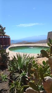 明德卢Casa Azul的享有绿水和植物海滩的景色