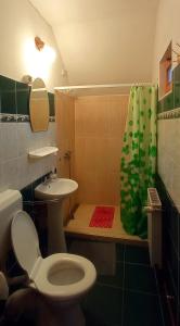 博尔塞克Casa de vacanta - Vendeghaz的浴室配有卫生间、盥洗盆和淋浴。