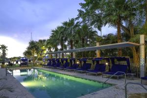劳德代尔堡劳德代尔堡浅海万豪原住酒店的一个带蓝色椅子的游泳池,棕榈树