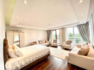 ArnavutköyAirport Villa hotel的一间大卧室,配有一张大床和两张沙发