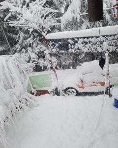 马拉里SGM Camp & Cottage的雪覆盖的院子,汽车被雪覆盖