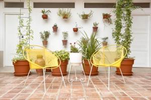 塔拉波托CASONA DON LUCAS的墙上的一组椅子和盆栽植物