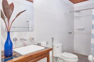 塔拉波托CASONA DON LUCAS的浴室设有卫生间,在柜台上设有蓝色花瓶