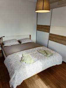 采尔克尼察Green Apartment Cerknica的一间卧室配有两张床和一盏灯