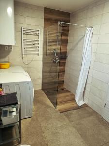 采尔克尼察Green Apartment Cerknica的浴室里设有玻璃门淋浴