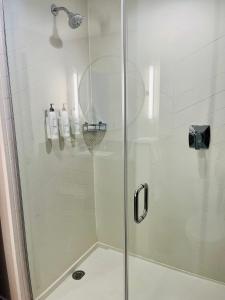 斯汤顿Fairfield Inn & Suites by Marriott Staunton的浴室里设有玻璃门淋浴