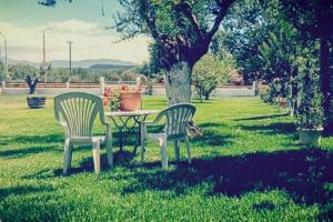 Ancient Olympia - Entire family house的草上两把椅子和一张桌子,有一棵树