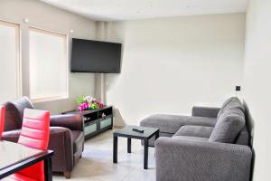 海若克利欧MAXIM APARTMENT的客厅配有2张沙发和1台平面电视