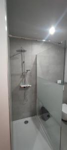 沙勒罗瓦L'escale tout confort的浴室设有玻璃淋浴间和卫生间