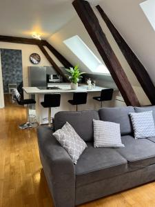 特鲁瓦Coeur de bouchon的带沙发和书桌的客厅