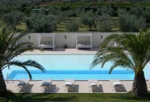 卡斯塔涅托卡尔杜奇瑞莱斯乐弗纳塞乐公寓式酒店的一个带躺椅的游泳池,棕榈树
