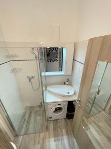 鲍洛通拜雷尼Siesta Apartman的一间带水槽和淋浴的小浴室