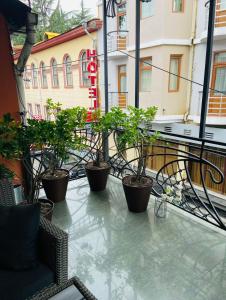 巴统Apart voyage的桌子上种有植物的阳台