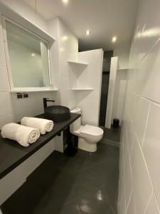 托伦Central Rooms Apartment的一间带卫生间、水槽和镜子的浴室