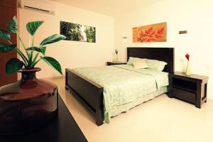 MisereTriplex Villa & Private Pool - CliffHanger Villas的一间卧室配有一张床和盆栽植物