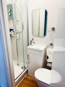 哈罗Modern cosy room with private bathroom的带淋浴、卫生间和盥洗盆的浴室
