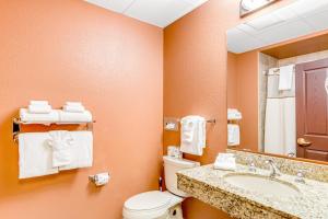 威斯康星戴尔Chula Vista Resort #2217的一间带卫生间、水槽和镜子的浴室