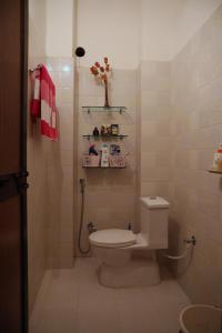 瓦拉纳西Tattva Luxurious Apartment的一间带卫生间和水槽的小浴室
