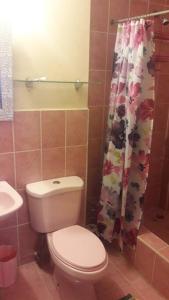 CouvaSpacious Home的一间带卫生间和淋浴帘的浴室