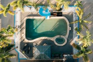 汤斯维尔比拉邦汽车旅馆的享有棕榈树游泳池的顶部景致