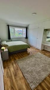 海斯Cozy home in a peaceful area的一间卧室设有床、窗户和地毯。