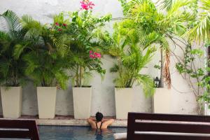 圣玛尔塔Casa Gaitana - Alma Hotels的植物游泳池里的人