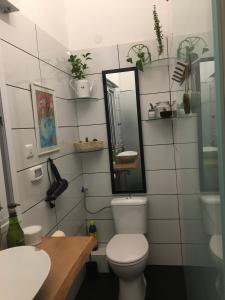 特拉维夫Bialik St B&B room Bauhaus district Tel Aviv的一间带卫生间、水槽和镜子的浴室