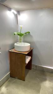 大吉岭Deoja Forest Stay的一个带水槽和台面植物的浴室